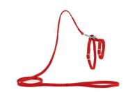 Beeztees Kattentuigje Rood 130cm x 10mm - thumbnail