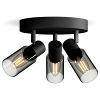 Philips Palms 8720169299351 Plafondspot E14 Zwart - thumbnail