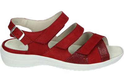 Strober HEDWIG 74023K - alle Strober HEDWIG 74023K - alle