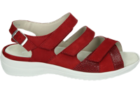 Strober HEDWIG 74023K - alle - thumbnail