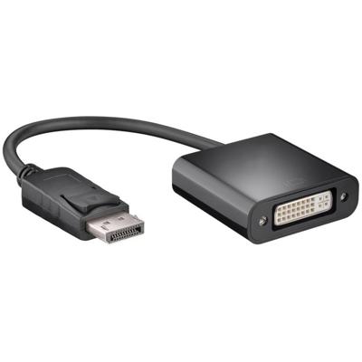 DisplayPort naar DVI adapter
