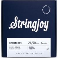 Stringjoy Signatures Bass VI Balanced Medium 24-90 snarenset voor 6-snarige bas - thumbnail