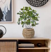 Fittonia Mont Blanc kunstplant 50cm - thumbnail