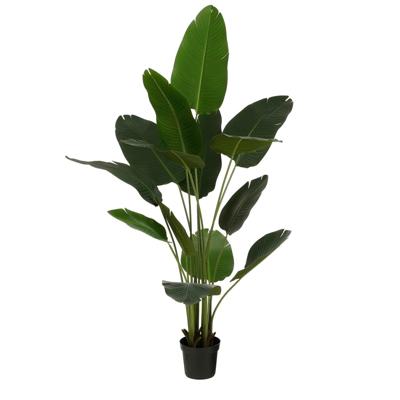 Kunstplant Mica Bananen boom in plastic pot 180x30cm | 2 stuks Kunstplant Mica Bananen boom in plastic pot 180x30cm | 2 stuks
