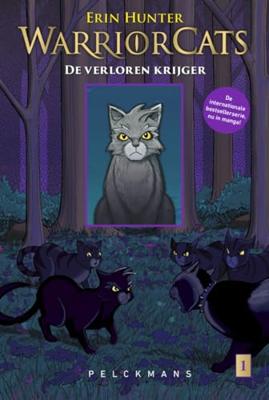 De verloren krijger (Paperback)