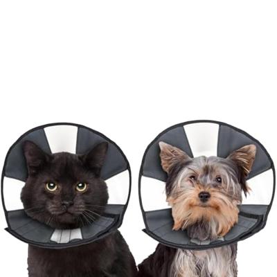 Zenpet Procone S