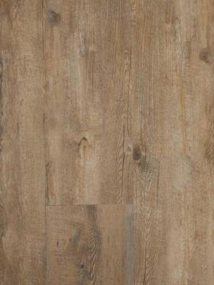 Klik PVC EKO Excellent collection 22,5 x 122 x 0,5 cm Houtlook Olympus Eko Floors Klik PVC EKO Excellent collection 22,5 x 122 x 0,5 cm Houtlook Olympus Eko Floors