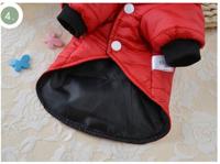 Baza hangtuintje struiktomaat tumb. tom yellow - thumbnail