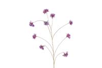 Countryfield plumeria 167 cm paars - thumbnail