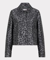 Esqualo Jack F25.19513 - thumbnail