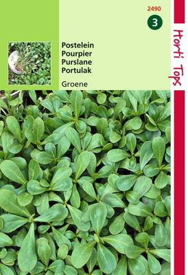 Zaden Postelein Groene Hortitops - Hortitops Zaden Postelein Groene Hortitops - Hortitops