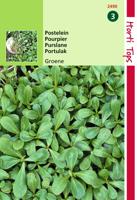 Zaden Postelein Groene Hortitops - Hortitops - thumbnail