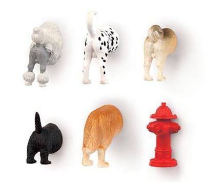 Kikkerland Dog Butt 6-delige magnetenset