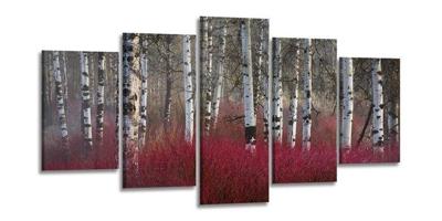 Schilderij - Berken, Rood, 200X100cm, 5luik