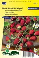 Aardbei zaden (bos) Baron Solemacher - thumbnail