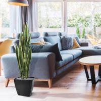 Sanseveria kunstplant 110cm - bont - thumbnail