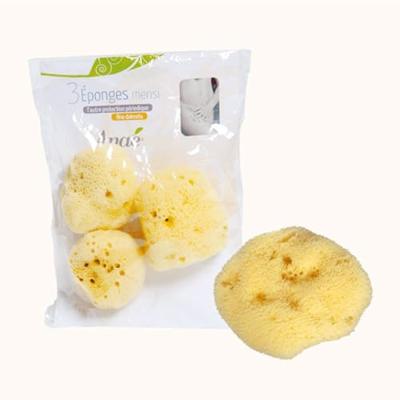 Anae Menstruatiesponsjes 6-7cm - 3 st.