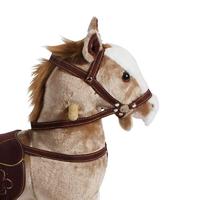 Hobbelpaard Tobiano - thumbnail