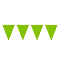 Groene Mini Vlaggenlijn - 3 meter - thumbnail