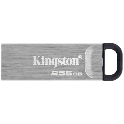 Pendrive Kingston DTKN/256GB USB 3.2 Zilverkleurig Zwart 256 GB