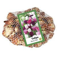 Bloembollen Tulipa Pastel Mix 35st - thumbnail