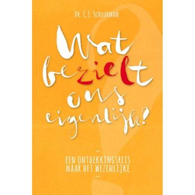 Wat bezielt ons eigenlijk? (Paperback)