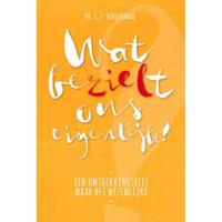 Wat bezielt ons eigenlijk? (Paperback) - thumbnail