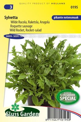 Wilde Rucola Sylvetta zaden
