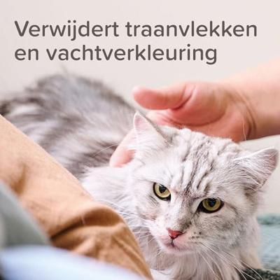 Traansmeerverwijderaar hond/kat - Beaphar - thumbnail