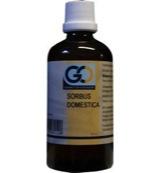 GO Sorbus domestica bio 100 Milliliter - thumbnail