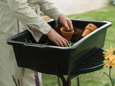 Royal Well | Maxi Container 40 liter Royal Well | Maxi Container 40 liter