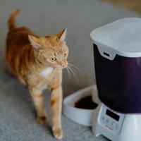 Cat Mate voederautomaat - thumbnail
