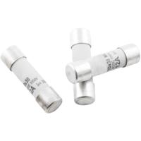 TRU COMPONENTS 1576897 TC-1038320 Buiszekering (Ø x l) 10.3 mm x 38 mm 2 A 500 V Traag -T- Inhoud 1 stuk(s) - thumbnail