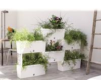 Bama Brick Koppelbare Plantenbakken 75L 59x23x27 cm 5 Stuks Wit - thumbnail