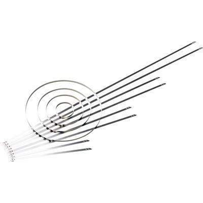 HellermannTyton 111-01552 MST700S Kabelbinder 700 mm 5.90 mm Zilver Met kogelsluiting, Hittegestabiliseerd 1 stuk(s)