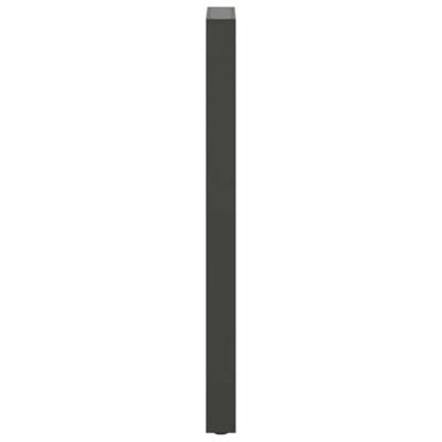 Bartafelpoten 2 st 40x(110-111) cm staal antraciet