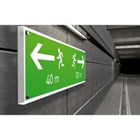 Fischer 47305 FZEA II 14 x 40 M12 Inslaganker 43 mm 14 mm 50 stuk(s) - thumbnail