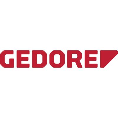 Gedore RED | R38011005 | 2C-Bitschroevendraaier MAXIMUS | 5/16" | FL+PH | 5-delig - 3300038