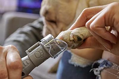 Dremel Pet Nail Grooming Nagelverzorging voor huisdieren 1 stuk(s) - thumbnail