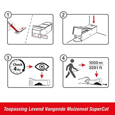 Muizenval Catch Alive SuperCat