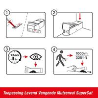 Muizenval Catch Alive SuperCat - thumbnail