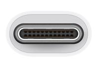 USB-C naar USB-adapter - APPLE - MW5L3ZM/A - Om uw iOS-apparaten aan te sluiten en op te laden - thumbnail