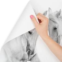 Fotobehang - Twee Schimmels, Paarden, zwart/wit, premium print, inclusief behanglijm - thumbnail