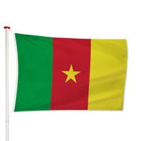 Kameroense Vlag - thumbnail