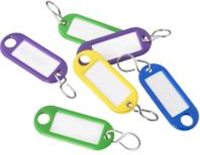 Connex sleutelhanger kunststof 6st co - ky6200000