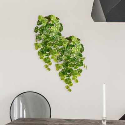 Pilea Peperomioides kunst hangplant bont 60cm