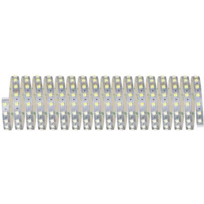 Paulmann MaxLED 70565 LED-strip Met connector (male) 24 V 10 m Warmwit, Neutraalwit, Daglichtwit 1 stuk(s)