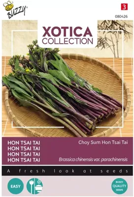 Xotica Purple Choy Sum Hon Tsai Tai zaden Buzzy - Buzzy