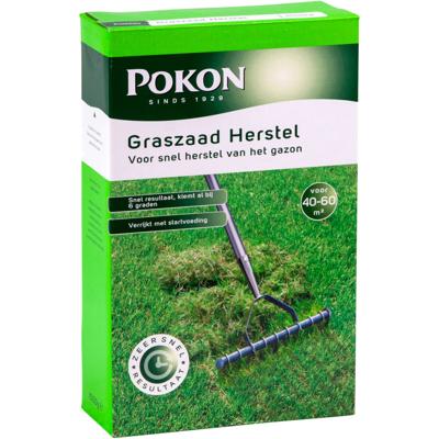 Pokon Graszaad Herstel 1kg Pokon Graszaad Herstel 1kg
