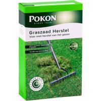 Pokon Graszaad Herstel 1kg - thumbnail